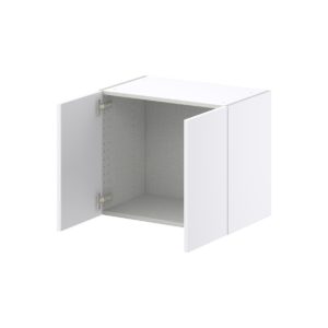 Lily Bright White  Slab Assembled Wall  Cabinet with 2 Full High Doors (24 in. W X 20 in. H X 14 in. D)