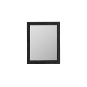 Foxglove 24"W x 30"H Coal Black Framed Mirror