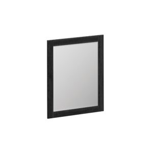 Foxglove 24"W x 30"H Coal Black Framed Mirror